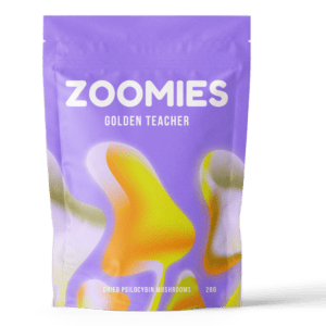 Golden Teacher | Magic Mushroom Toronto Canada