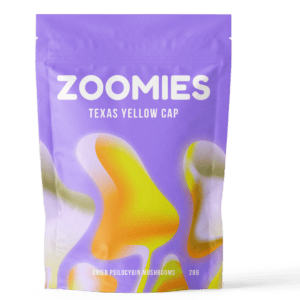 Texas Yellow Cap | Magic Mushroom Toronto Canada