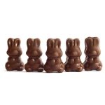 Alice - Mushroom Milk Chocolate - 2.5g | Magic Mushroom Toronto Canada