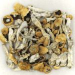 Orissa | Magic Mushroom Toronto Canada