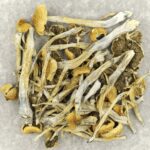 Trinity | Magic Mushroom Toronto Canada