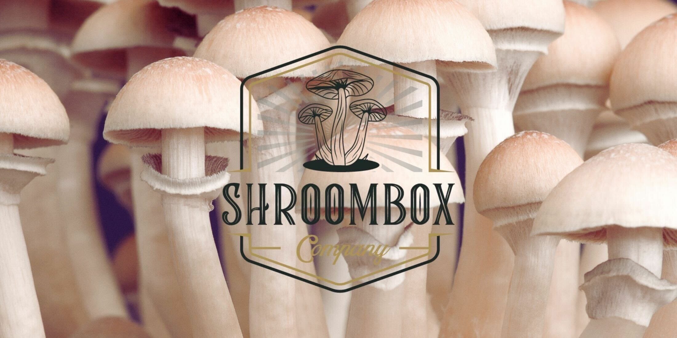 Shroom Box logo | Magic Mushroom Toronto Canada