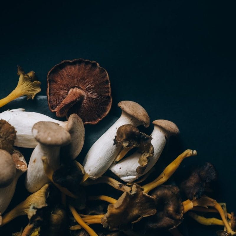Dried Shrooms | Magic Mushroom Toronto Canada