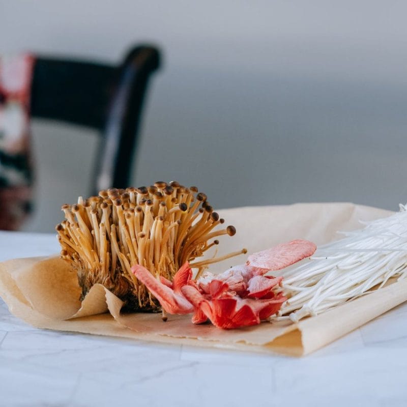 Buy Shrooms Online Canada (1) | Magic Mushroom Toronto Canada