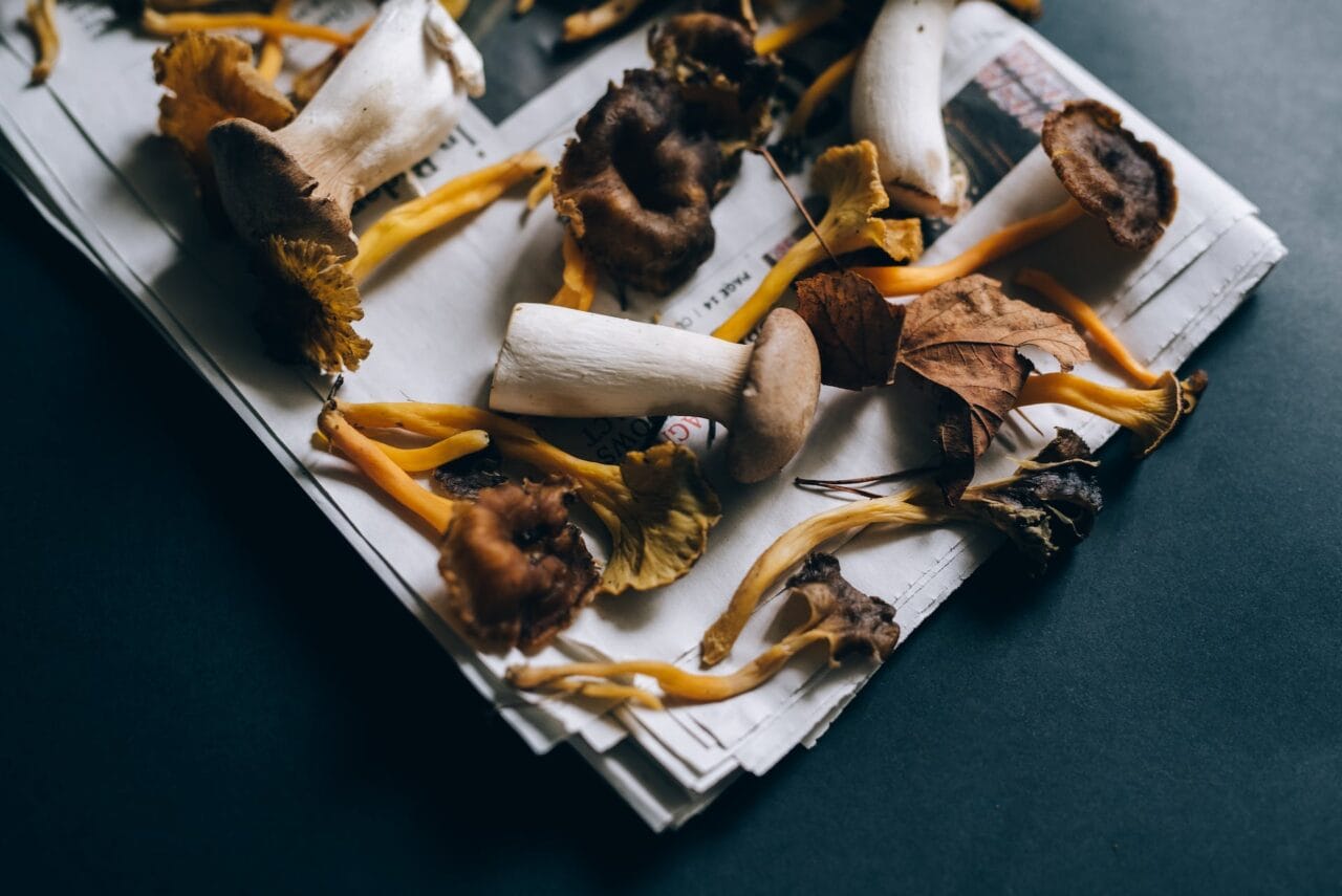 Is it a Good Combination: Mushrooms and Chocolate?